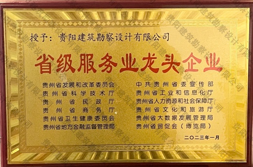 省级服务业龙头企业